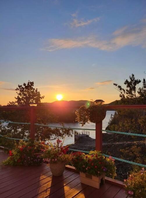 Hatchet Harbour Vacation Holiday home *