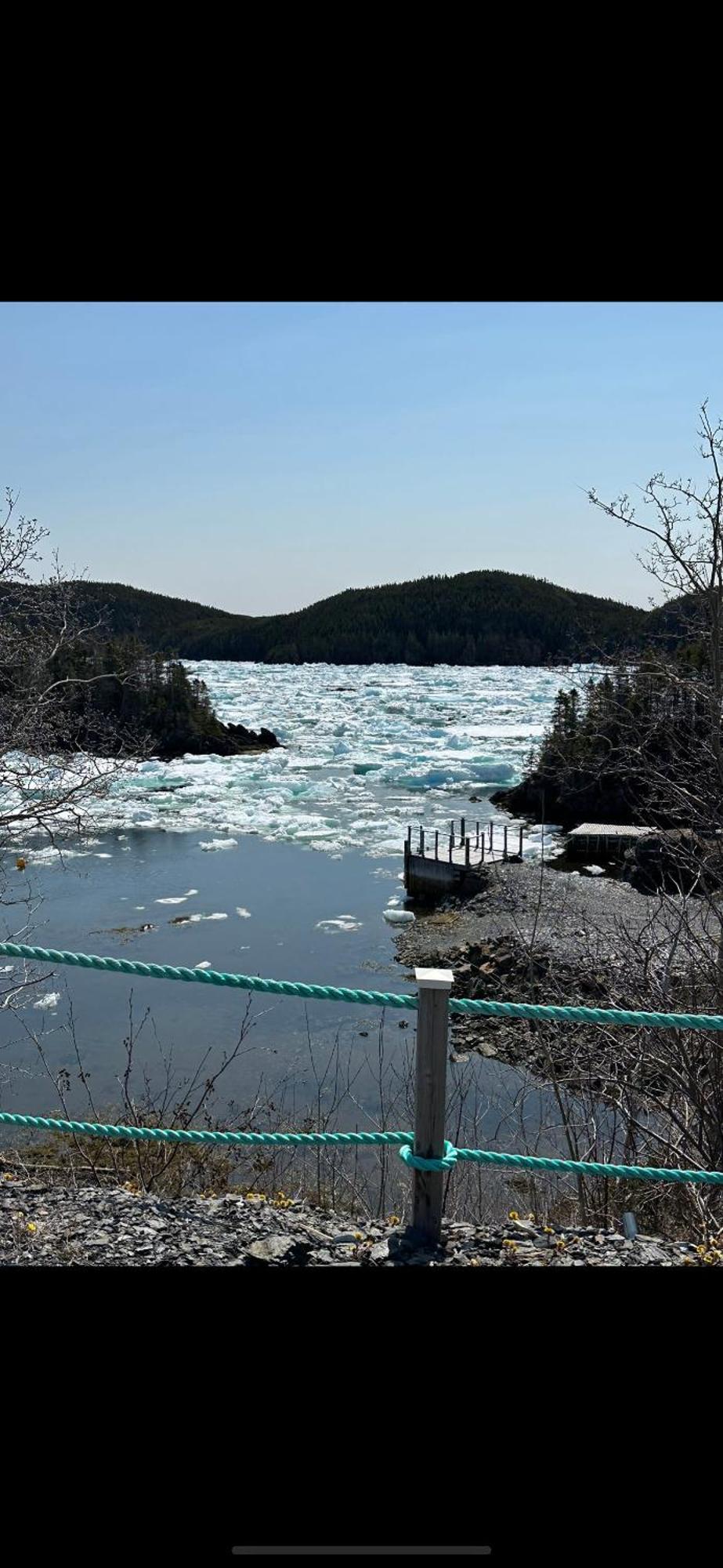 Hatchet Harbour Vacation Herring Neck